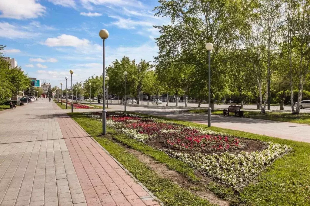 Помещение свободного назначения в Тюменская область, Тюмень ул. ... - Фото 1