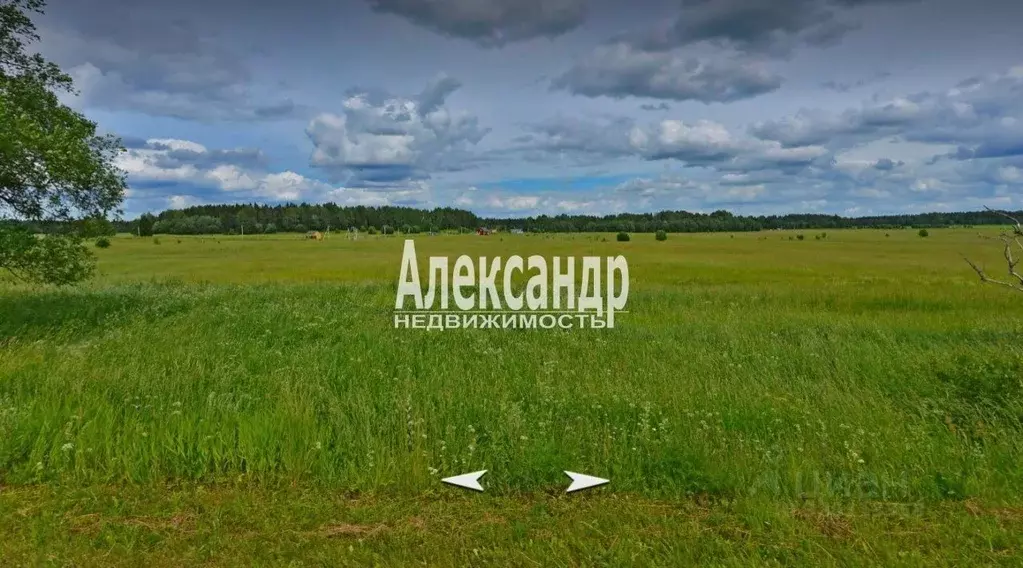 Участок в Ленинградская область, Ломоносовский район, Лопухинское ... - Фото 1