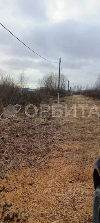 Участок в Тюменская область, Нижнетавдинский район, Сочинское ДНТ  ... - Фото 0