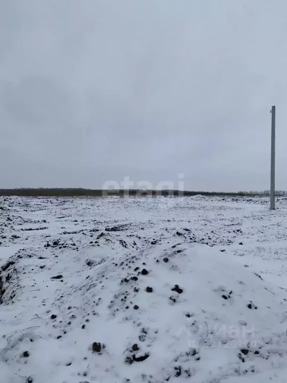 Участок в Белгородская область, Белгородский район, Головинское с/пос, ... - Фото 1