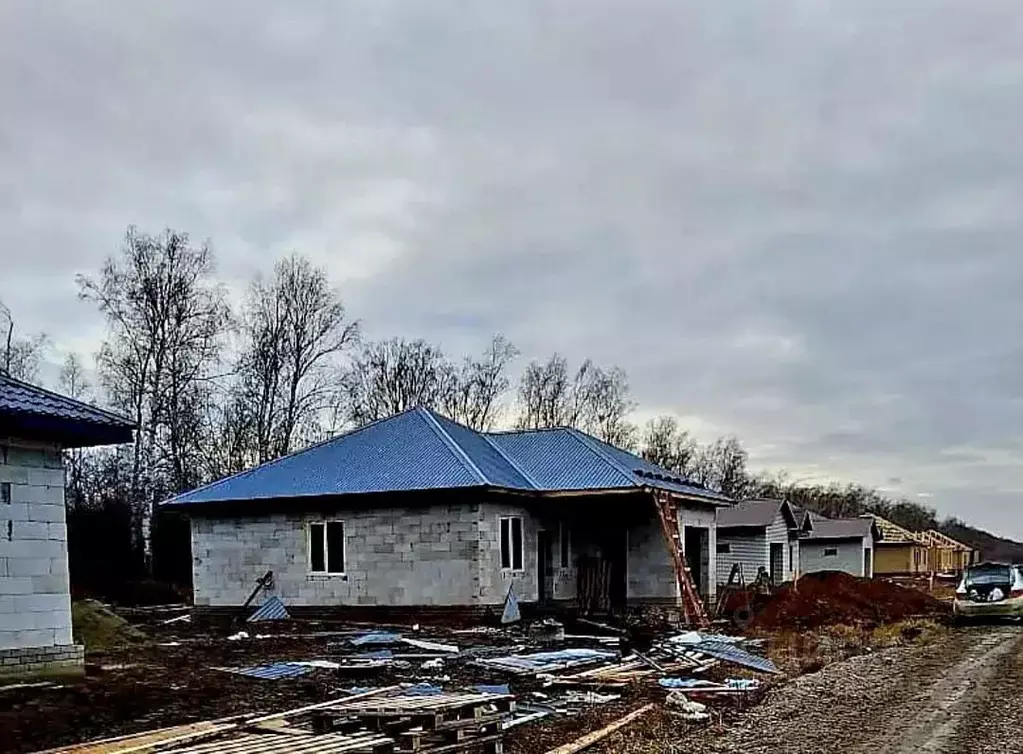 Дом в Алтайский край, Барнаул городской округ, пос. Черницк ул. ... - Фото 1