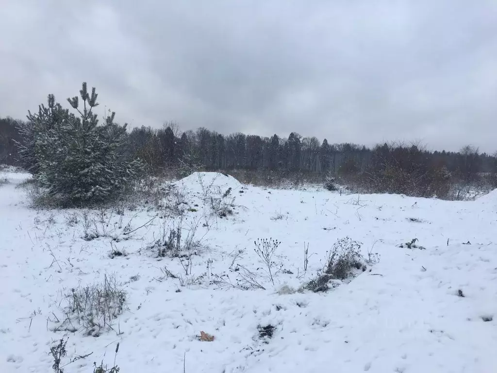 Участок в Московская область, Пушкинский городской округ, д. Цернское  ... - Фото 1