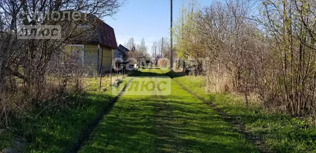 Дом в Вологодская область, Вологда Северянин-1 садоводческое ... - Фото 0