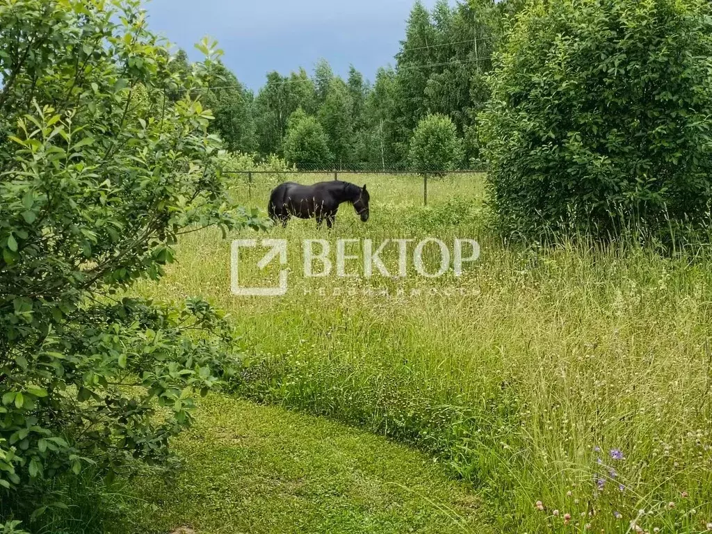 Дом в Ивановская область, Кинешемский район, Наволокское городское ... - Фото 0