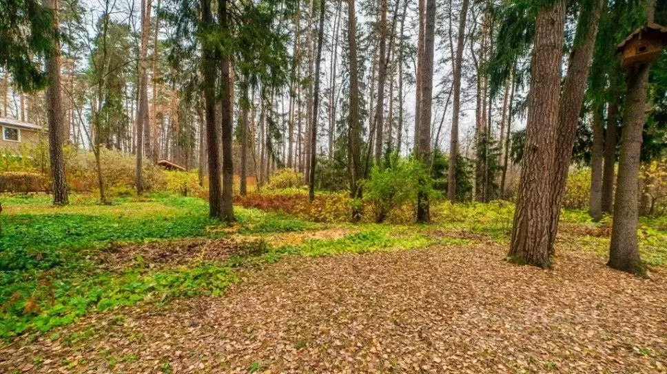 Участок в Московская область, Одинцовский городской округ, пос. ... - Фото 1