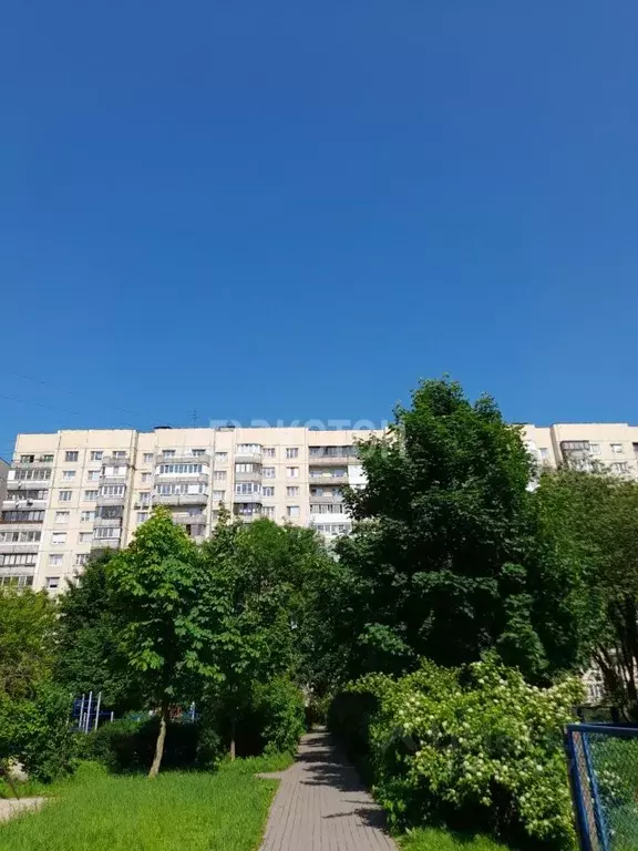1-к кв. Санкт-Петербург Малая Карпатская ул., 23К1 (37.0 м) - Фото 0