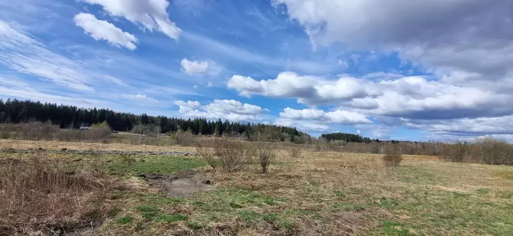 Участок в Ленинградская область, Приозерский район, Мельниковское ... - Фото 1