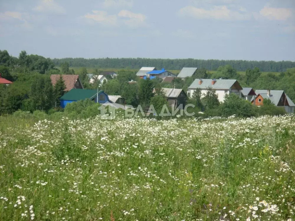 Земли владимира. Деревня Багриново Владимирская область. Село старый двор Владимирская область Суздальский район. Деревня Багриново Суздальский район. Суздальский район, деревня пруды, Солнечная улица.