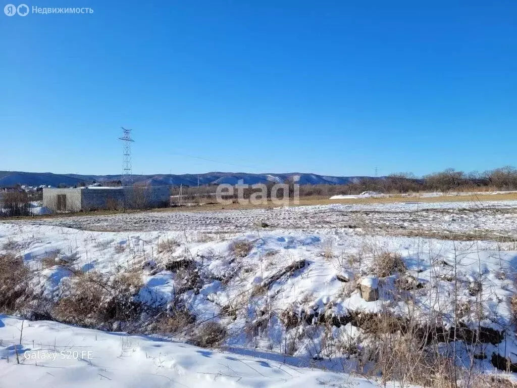 Участок в Амурская область, Благовещенский муниципальный округ, село ... - Фото 0