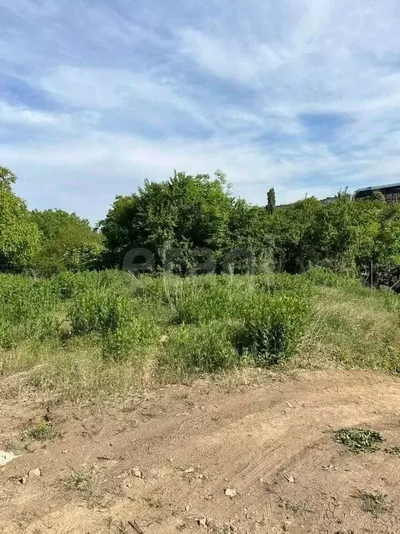 Участок в Ростовская область, Азовский район, с. Самарское Садовый ... - Фото 1