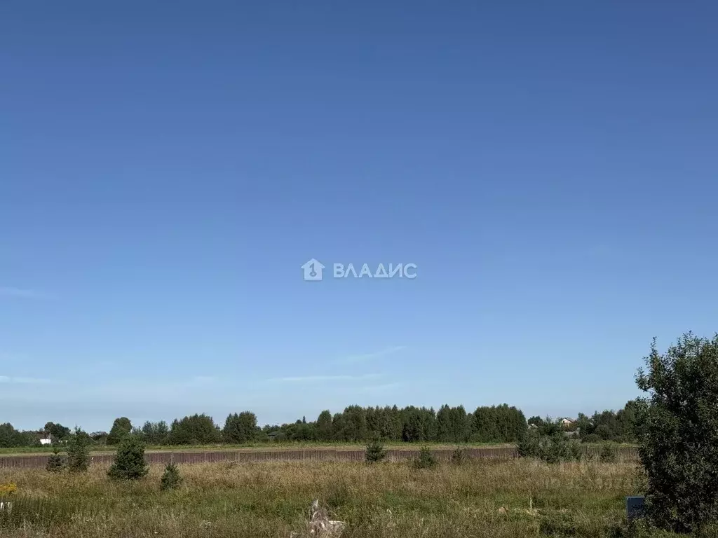 Участок в Владимирская область, Ковровский район, Доброград ... - Фото 1