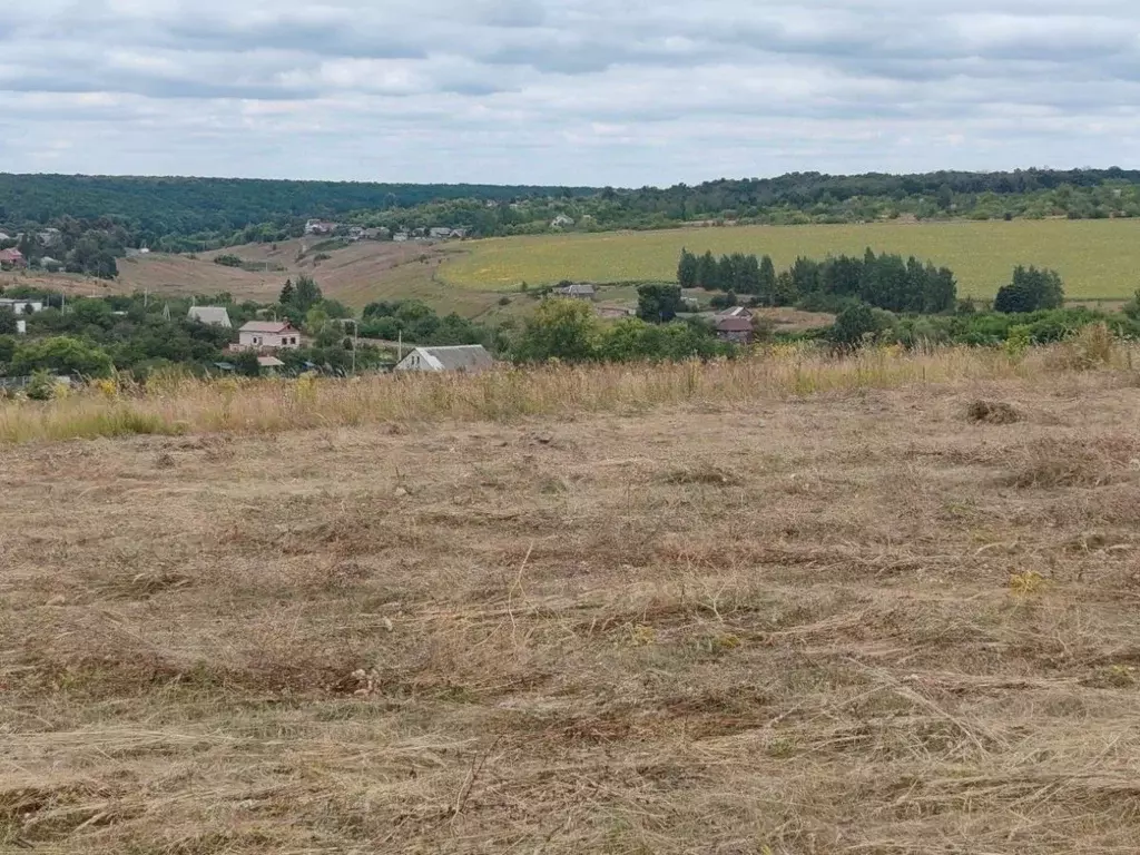Участок в Курская область, Курский район, Клюквинский сельсовет, д. ... - Фото 1