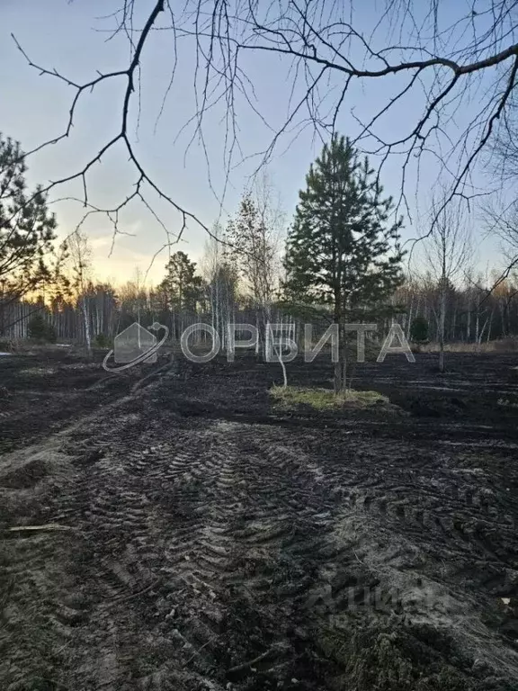 Участок в Тюменская область, Тюменский район, д. Головина ул. Ермака ... - Фото 0