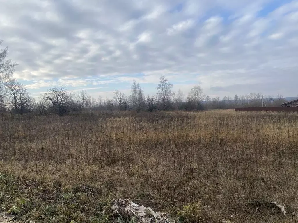 Участок в Московская область, Серебряные Пруды муниципальный округ, с. ... - Фото 1