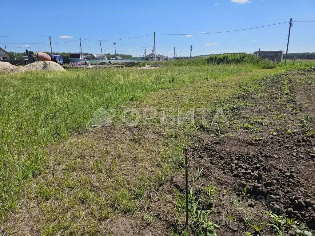 Участок в Тюменская область, Тюменский район, Кулаковское ... - Фото 1