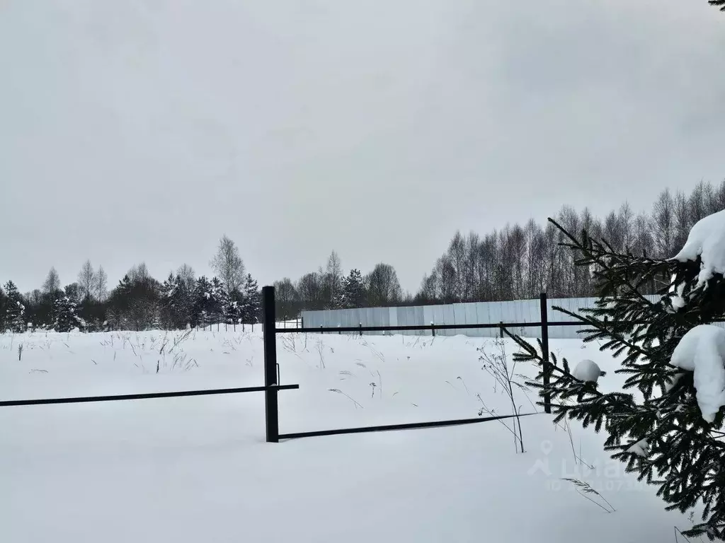 Участок в Московская область, Рузский муниципальный округ, д. Лобково ... - Фото 1