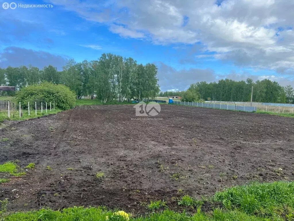 Участок в Новосибирская область, Коченёвский муниципальный район, ... - Фото 1