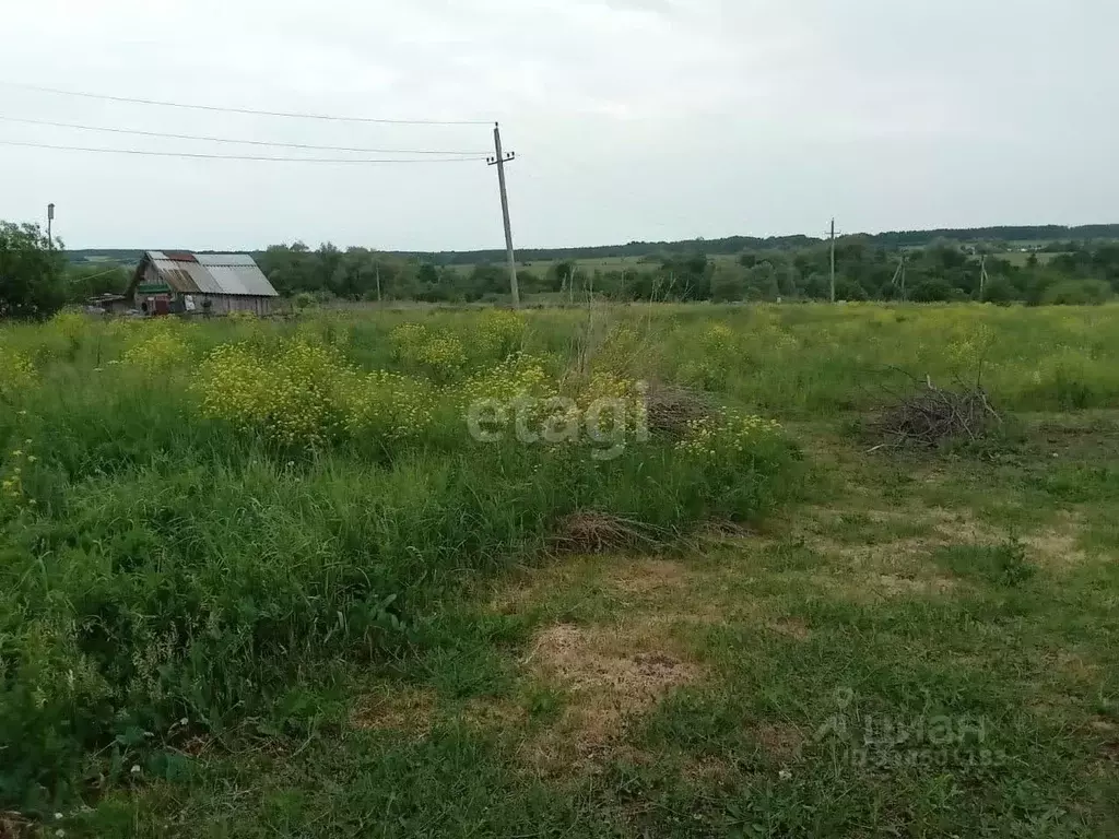 Участок в Башкортостан, Иглинский район, Ивано-Казанский сельсовет, д. ... - Фото 1