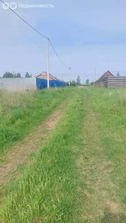 Участок в Новгородский муниципальный район, Ракомское сельское ... - Фото 2
