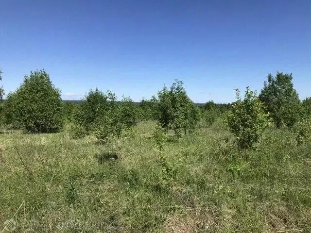 Участок в Пермский край, Добрянский муниципальный округ, д. Городище  ... - Фото 0