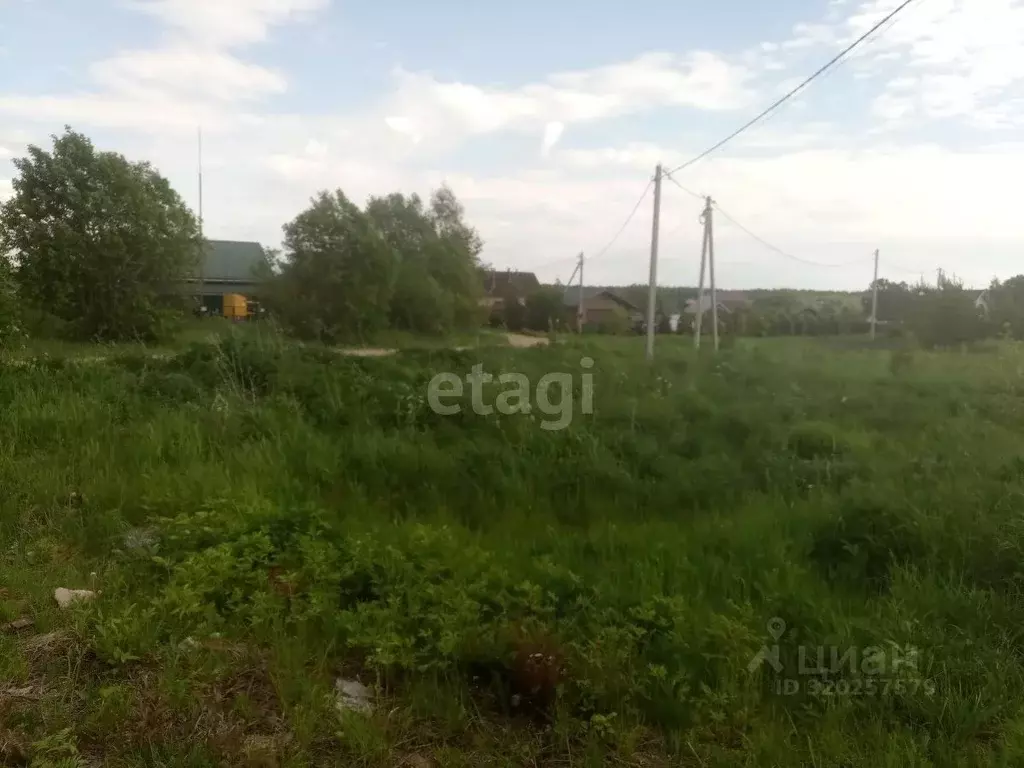 Участок в Костромская область, Красносельский район, Чапаевское с/пос, ... - Фото 1