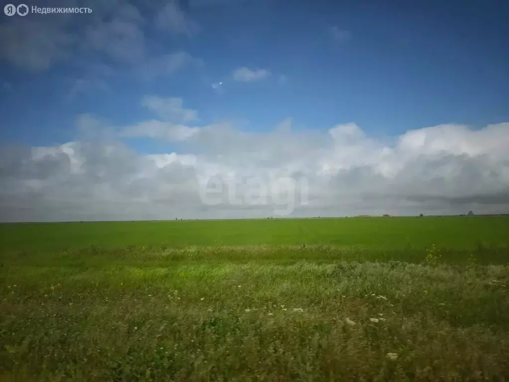 Участок в Сакский район, село Крайнее (184 м) - Фото 2