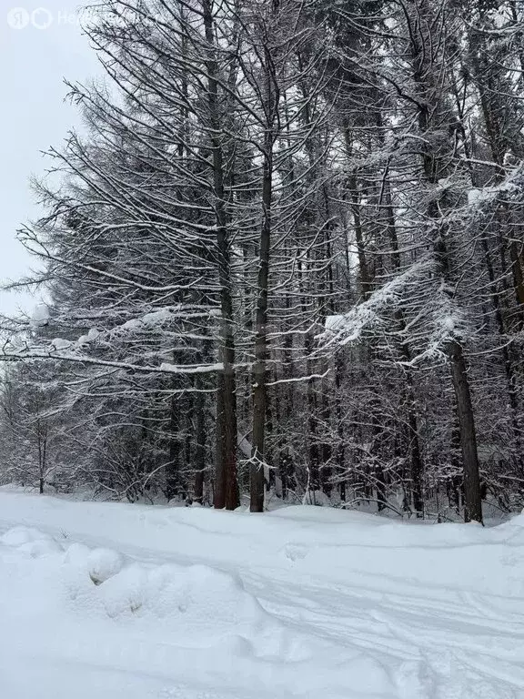 1-комнатная квартира: посёлок Автополигон, 7 (28.8 м) - Фото 0