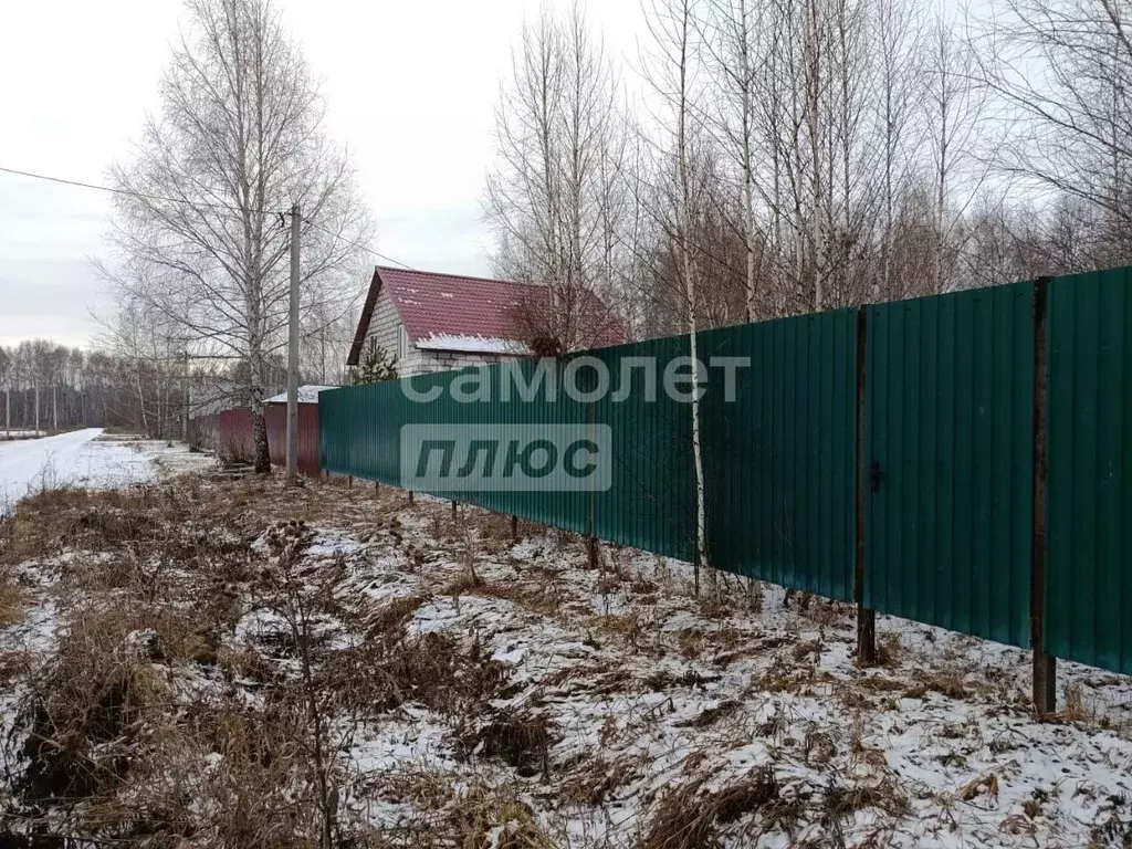 Участок в Курганская область, Кетовский муниципальный округ, КП Лесная ... - Фото 2