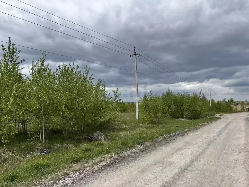 Участок в Брянская область, Брянский район, Добрунское с/пос, с. ... - Фото 1