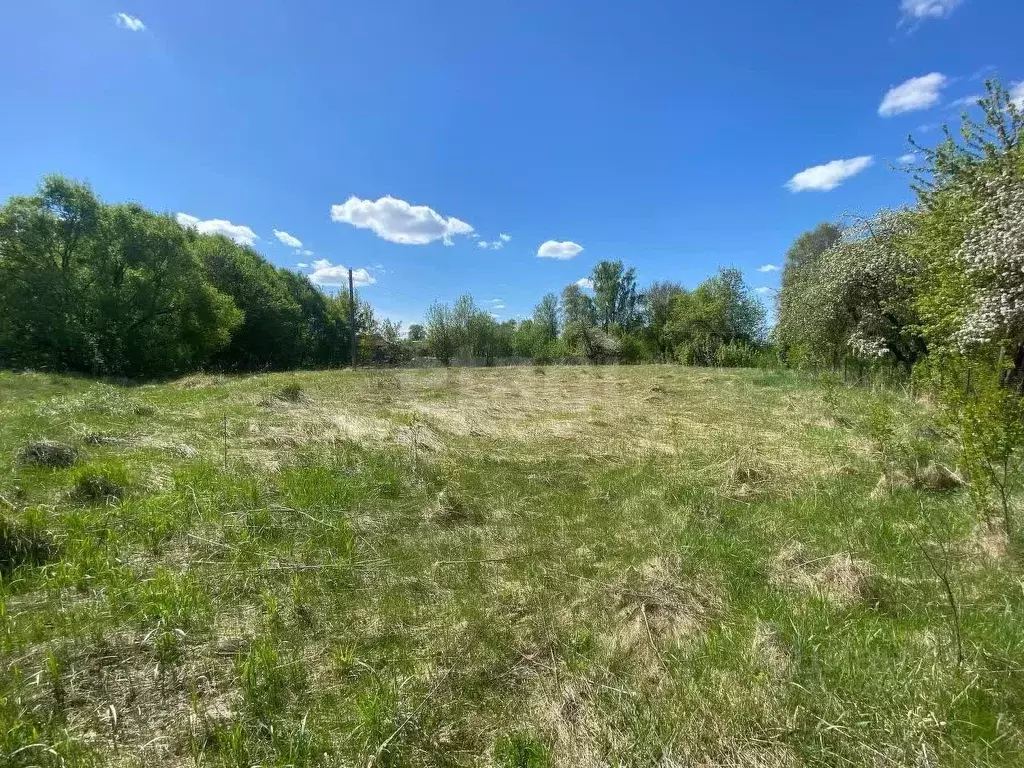 Участок в Брянская область, Почепский район, Витовское с/пос, с. ... - Фото 1