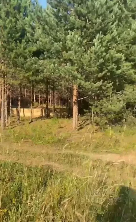 Участок в Кировская область, Слободской район, Шиховское с/пос, д. ... - Фото 1