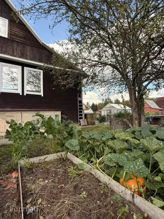 Дом в Ленинградская область, Всеволожский район, Юкковское с/пос, ... - Фото 2