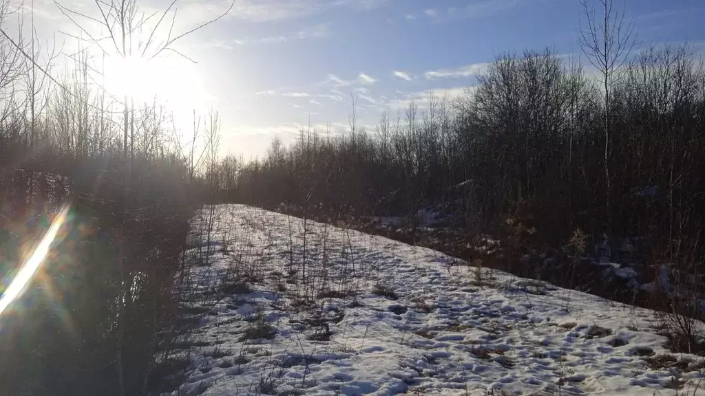 Участок в Новгородская область, Новгородский район, Бронницкое с/пос, ... - Фото 1