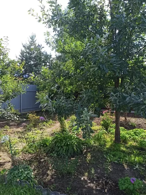 Участок в Сосновоборск, Тихий переулок (15 м) - Фото 1