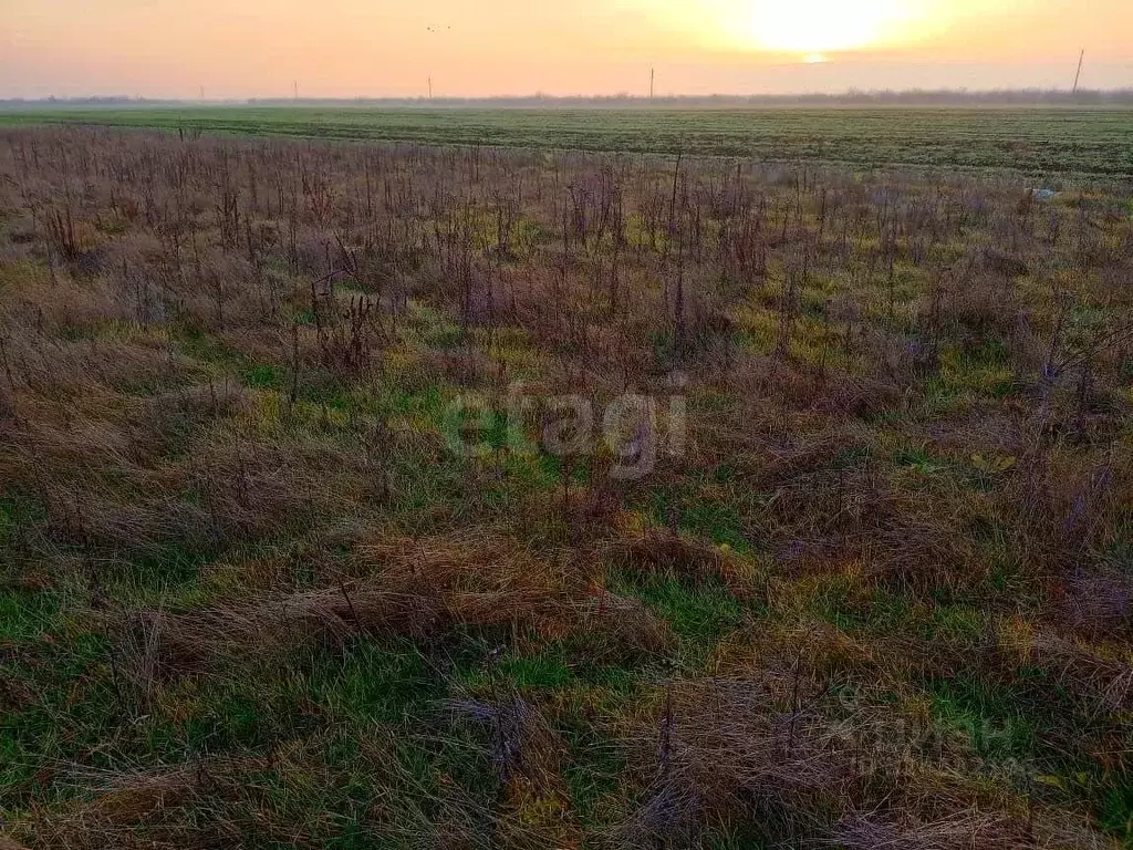 Участок в Краснодарский край, Ейск Ивановская ул. (6.3 сот.) - Фото 2
