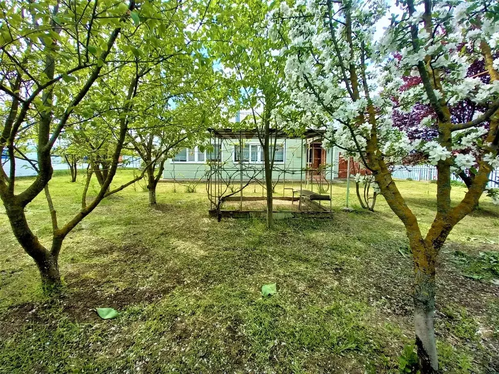 Дом в Краснодарский край, Ейский район, Ясенская ст-ца ул. Хижняка (48 ... - Фото 1