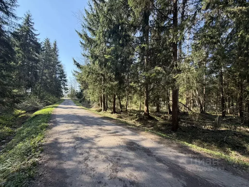 Участок в Московская область, Истра ул. Ленина, Река Истра (12.15 ... - Фото 1