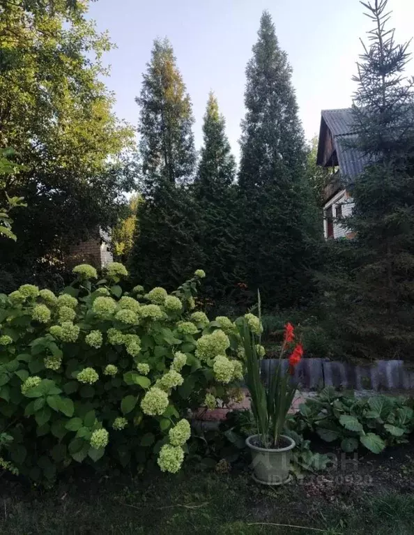 Дом в Саратовская область, Саратов Сорговик СНТ, проезд 9-й ... - Фото 2