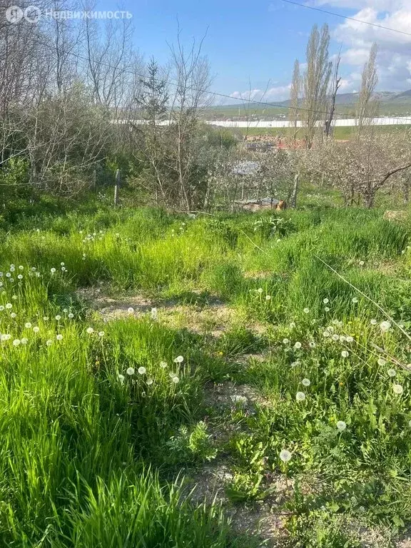 Участок в Добровское сельское поселение, село Заречное, Озёрный ... - Фото 1