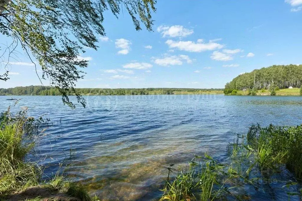 Участок в Нижегородская область, Богородский муниципальный округ, с. ... - Фото 1
