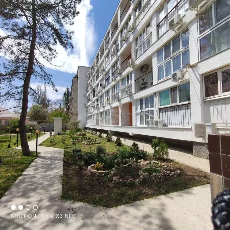 Студия Крым, Феодосия пер. Танкистов, 18 (19.0 м) - Фото 2