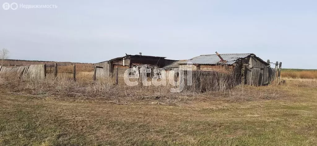 Участок в Курганская область, Шадринский муниципальный округ, деревня ... - Фото 0