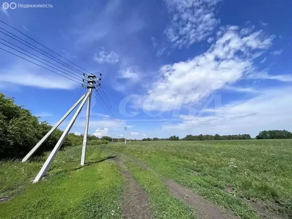Участок в Тюмень, товарищество с ограниченной ответственностью ... - Фото 1