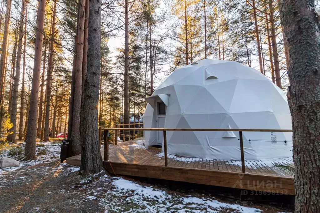 Дом в Карелия, Пряжинский район, Эссойльское с/пос, пос. Сяпся ул. ... - Фото 2