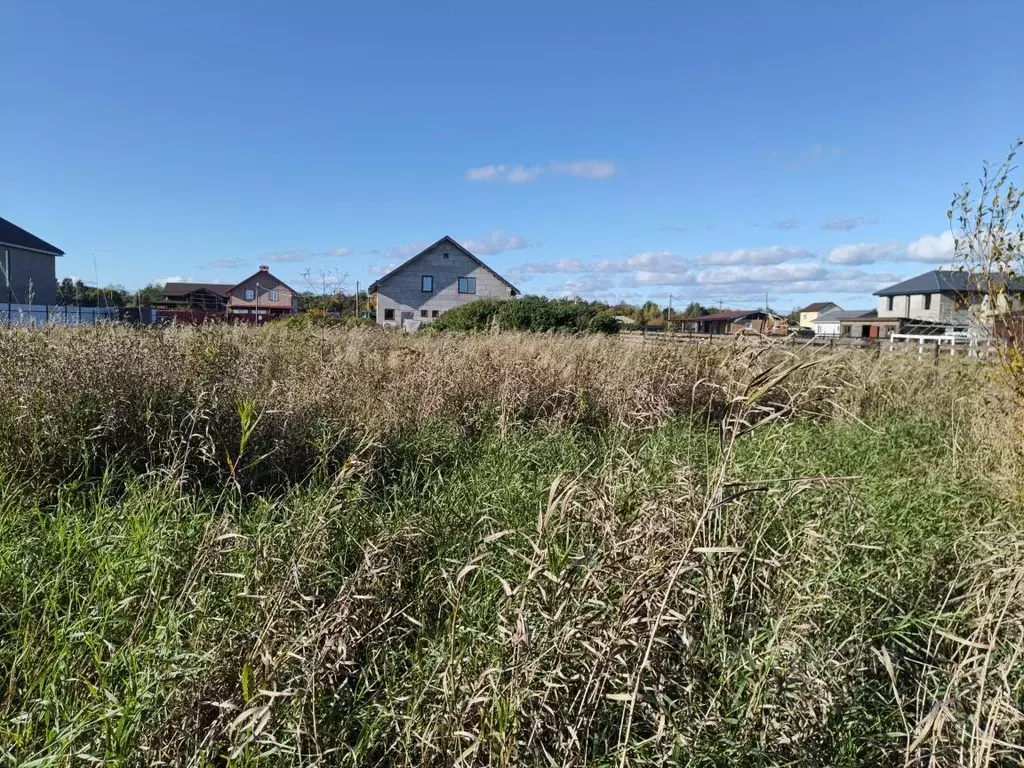 Участок в Ленинградская область, Ломоносовский район, Виллозское ... - Фото 2