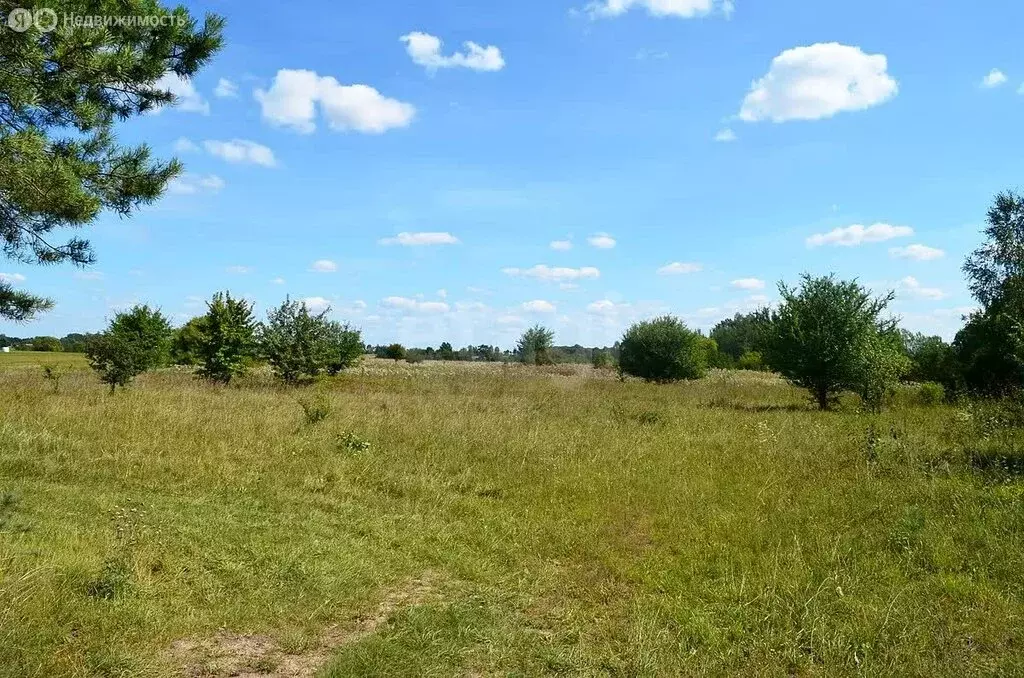 Участок в посёлок Доброград, Брусничная улица (12.65 м) - Фото 2