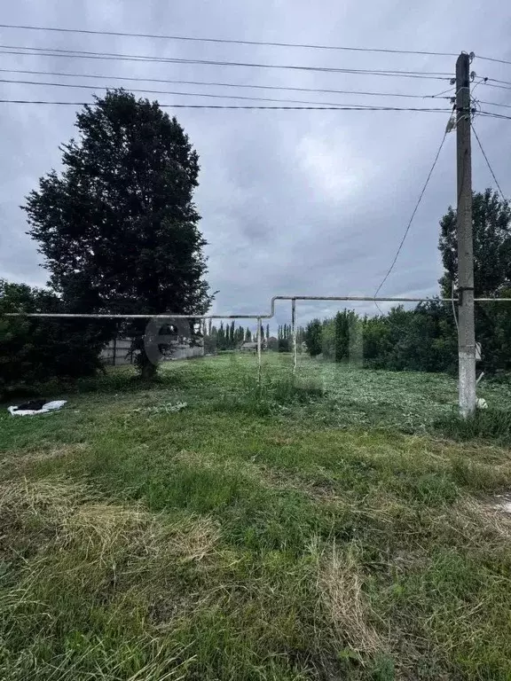 Участок в Воронежская область, Хохольское городское поселение, с. ... - Фото 1