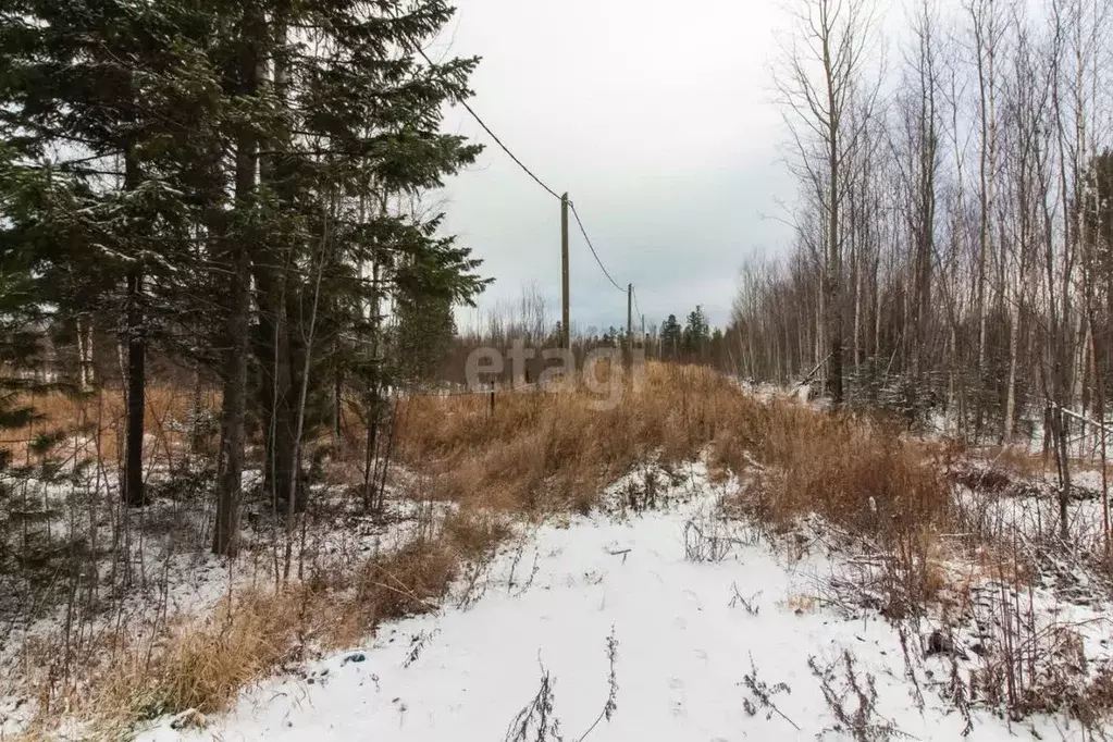 Участок в Ханты-Мансийский АО, Ханты-Мансийск Учитель-3 СОТ,  (14.0 ... - Фото 0