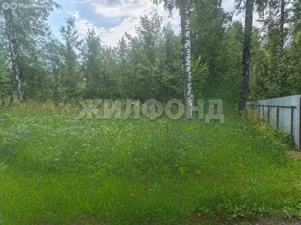 Участок в Новосибирск, СНТ Черёмушки (12 м) - Фото 1