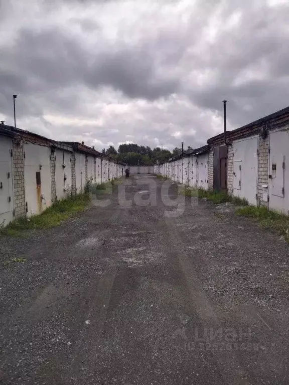 Гараж в Тюменская область, Тюмень Дамбовская ул., 53Ас17/21 (18 м) - Фото 1